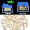 50pcs Maggot Fishing Lure; Luminous Worms Soft Baits 1.6cm/0.6inch