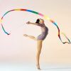 DSJUGGLING Adjustable Fiberglass Handsticks with Foam Handles,  Stretchable Poles for Dance Ribbon or Dancing Dragon Poi Equipment Rod